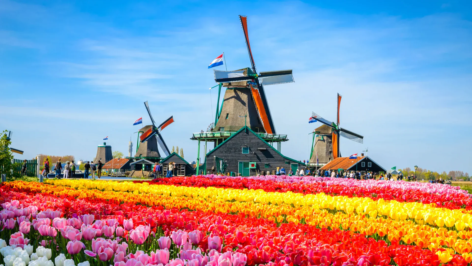 Amsterdam Case pe canal și faleză istorică din Țările de Jos