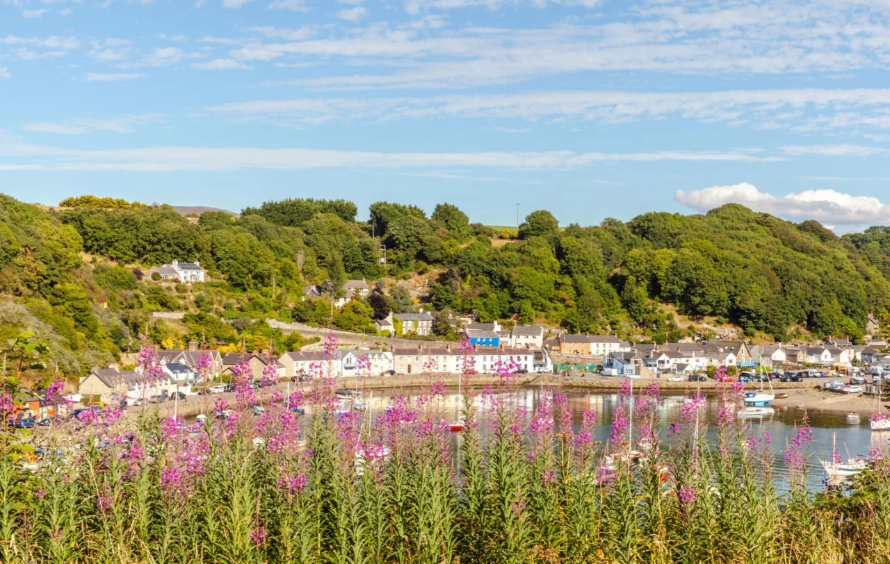 Destinație pentru feribotul Fishguard