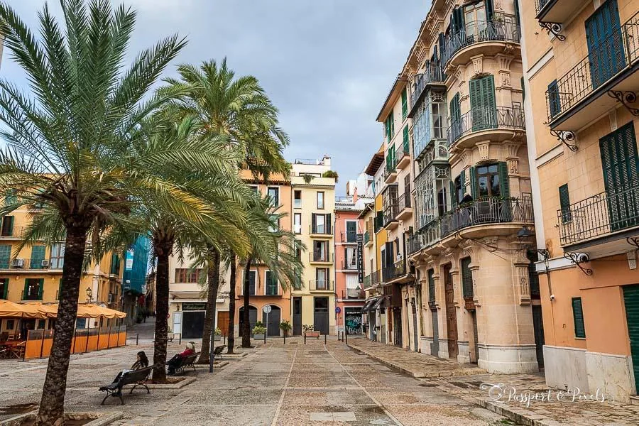 Destinație pentru feribotul Palma de Mallorca